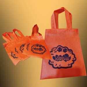 Bolsa plana pequeña